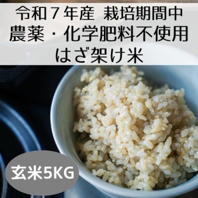 【令和7年産・先行受付】新潟県魚沼産コシヒカリ「山清水米」はざ架け米(玄米)5kg