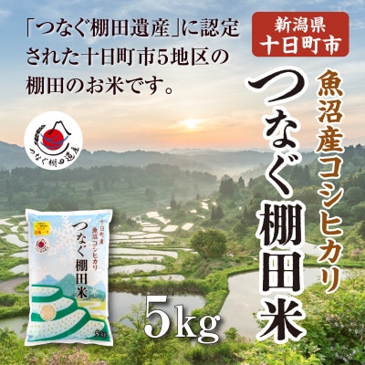 令和7年産新潟県十日町市魚沼産コシヒカリ「つなぐ棚田米」精米5kg