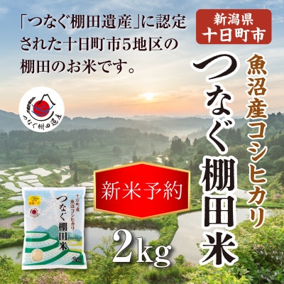【先行予約・令和8年産】新潟県十日町市魚沼産コシヒカリ「つなぐ棚田米」精米2kg