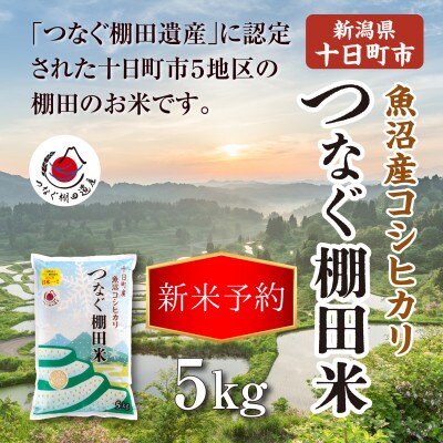 【先行予約・令和8年産】新潟県十日町市魚沼産コシヒカリ「つなぐ棚田米」精米5kg