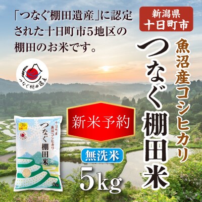【先行予約・令和8年産】新潟県十日町市魚沼産コシヒカリ「つなぐ棚田米」無洗米5kg