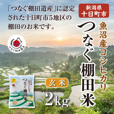 令和7年産新潟県十日町市魚沼産コシヒカリ「つなぐ棚田米」玄米2kg