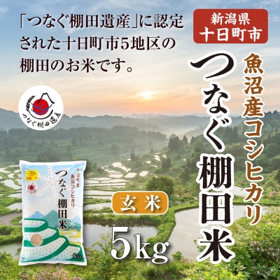 令和7年産新潟県十日町市魚沼産コシヒカリ「つなぐ棚田米」玄米5kg