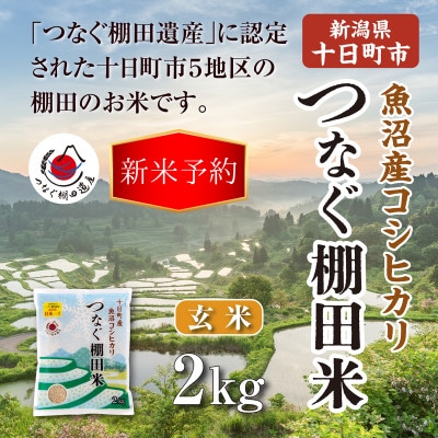 令和8年産新潟県十日町市魚沼産コシヒカリ「つなぐ棚田米」玄米2kg