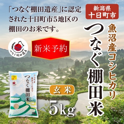 令和8年産新潟県十日町市魚沼産コシヒカリ「つなぐ棚田米」玄米5kg