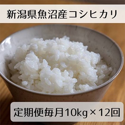 【発送月固定定期便】新潟県魚沼産コシヒカリ「山清水米」精米10kg全12回
