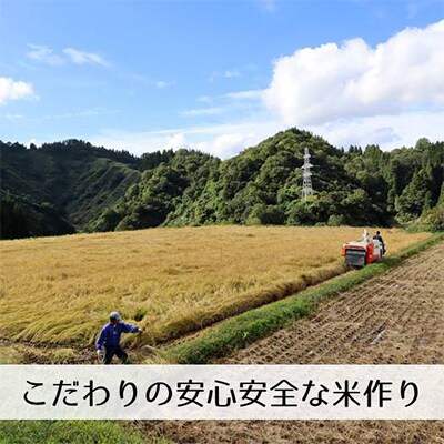 【発送月固定定期便】新潟県魚沼産コシヒカリ「山清水米」無洗米3kg全12回