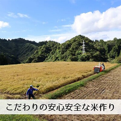 【発送月固定定期便】新潟県魚沼産コシヒカリ「山清水米」無洗米5kg全12回