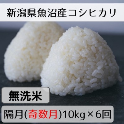 【発送月固定定期便】新潟県魚沼産コシヒカリ「山清水米」無洗米10kg(奇数月発送) 全6回