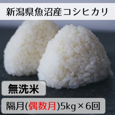 【発送月固定定期便】新潟県魚沼産コシヒカリ「山清水米」無洗米5kg(偶数月発送) 全6回