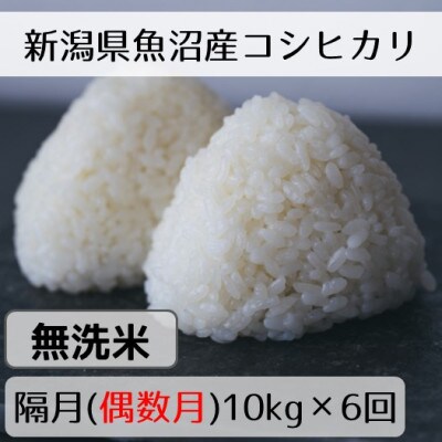 【発送月固定定期便】新潟県魚沼産コシヒカリ「山清水米」無洗米10kg(偶数月発送) 全6回