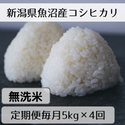 【毎月定期便】新潟県魚沼産コシヒカリ「山清水米」無洗米5kg 全4回