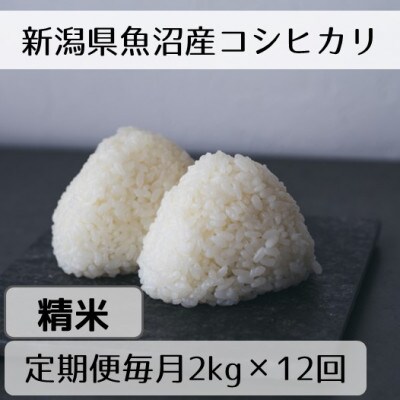 【発送月固定定期便】新潟県魚沼産コシヒカリ「山清水米」精米2kg 全12回