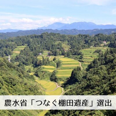 【発送月固定定期便】新潟県魚沼産コシヒカリ「山清水米」精米2kg 全12回