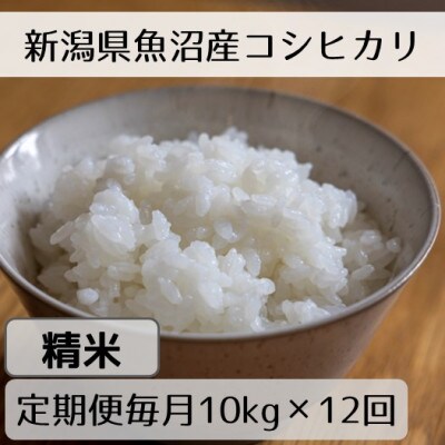 【発送月固定定期便】新潟県魚沼産コシヒカリ「山清水米」精米10kg 全12回