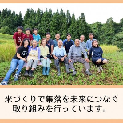 【発送月固定定期便】新潟県魚沼産コシヒカリ「山清水米」玄米5kg 全12回