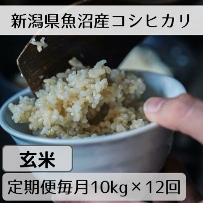 【発送月固定定期便】新潟県魚沼産コシヒカリ「山清水米」玄米10kg 全12回