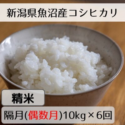 【発送月固定定期便】新潟県魚沼産コシヒカリ「山清水米」精米10kg(偶数月発送) 全6回