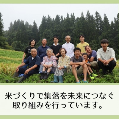 【毎月定期便】新潟県魚沼産コシヒカリ「山清水米」無洗米5kg全6回