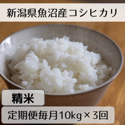 【毎月定期便】新潟県魚沼産コシヒカリ「山清水米」精米10kg全3回