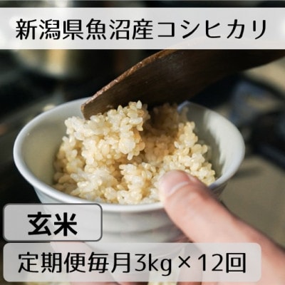 【毎月定期便】新潟県魚沼産コシヒカリ「山清水米」玄米3kg全12回