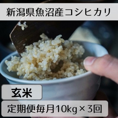 【毎月定期便】新潟県魚沼産コシヒカリ「山清水米」玄米10kg全3回