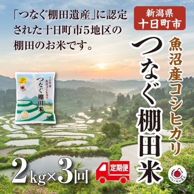 【毎月定期便】新潟県十日町市魚沼産コシヒカリ「つなぐ棚田米」精米2kg全3回