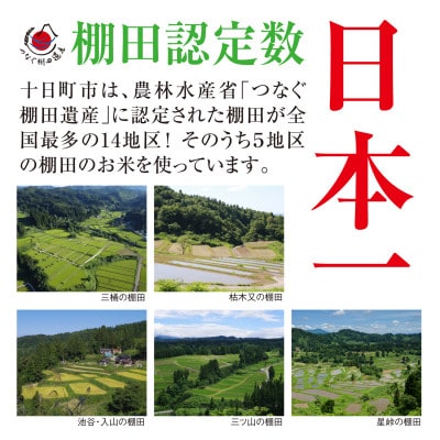【毎月定期便】新潟県十日町市魚沼産コシヒカリ「つなぐ棚田米」精米5kg全6回
