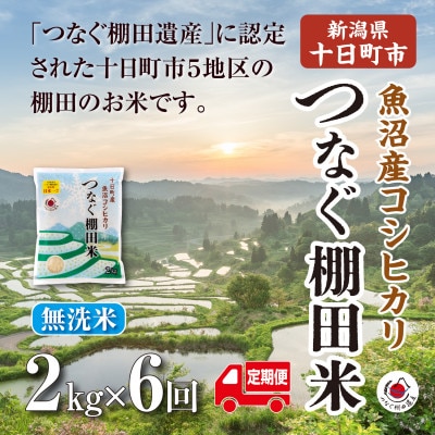 【毎月定期便】新潟県十日町市魚沼産コシヒカリ「つなぐ棚田米」無洗米2kg全6回