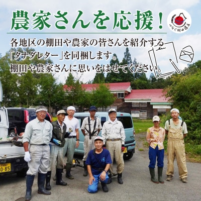 【毎月定期便】新潟県十日町市魚沼産コシヒカリ「つなぐ棚田米」無洗米2kg全6回