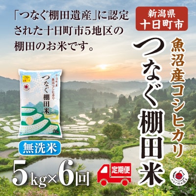 【毎月定期便】新潟県十日町市魚沼産コシヒカリ「つなぐ棚田米」無洗米5kg全6回