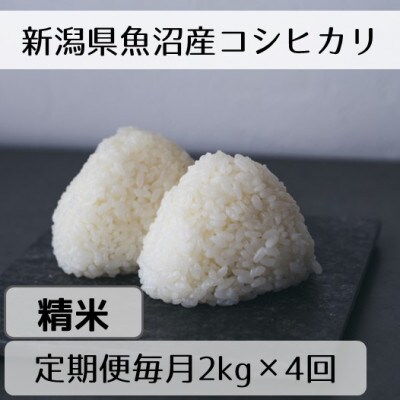 【毎月定期便】新潟県魚沼産コシヒカリ「山清水米」精米2kg全4回