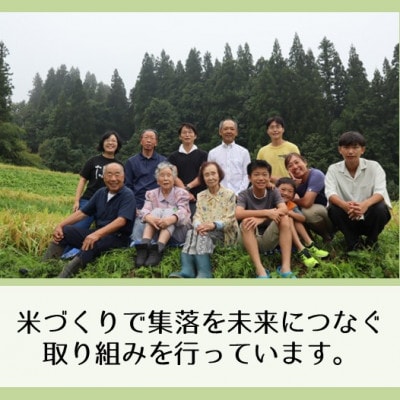 【毎月定期便】新潟県魚沼産コシヒカリ「山清水米」無洗米3kg全4回