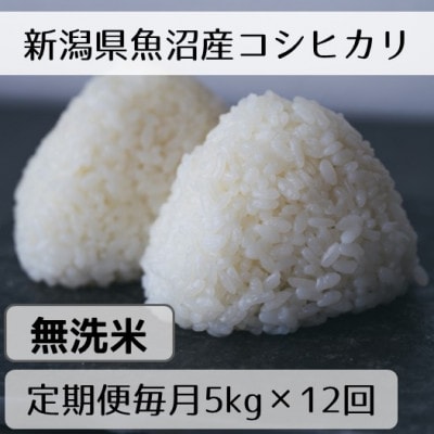 【毎月定期便】新潟県魚沼産コシヒカリ「山清水米」無洗米5kg全12回