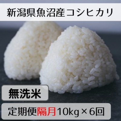 【2ヵ月毎定期便】新潟県魚沼産コシヒカリ「山清水米」無洗米10kg全6回