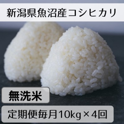 【毎月定期便】新潟県魚沼産コシヒカリ「山清水米」無洗米10kg全4回