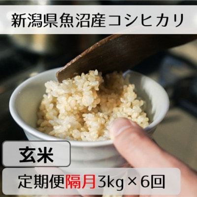 【2ヵ月毎定期便】新潟県魚沼産コシヒカリ「山清水米」玄米3kg全6回