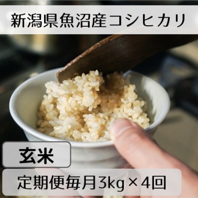 【毎月定期便】新潟県魚沼産コシヒカリ「山清水米」玄米3kg全4回