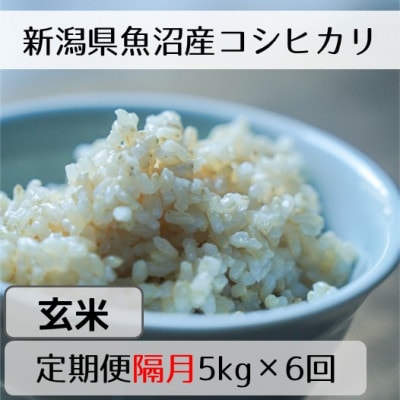 【2ヵ月毎定期便】新潟県魚沼産コシヒカリ「山清水米」玄米5kg全6回