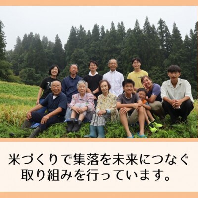 【毎月定期便】新潟県魚沼産コシヒカリ「山清水米」玄米5kg全6回