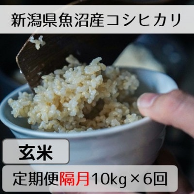 【2ヵ月毎定期便】新潟県魚沼産コシヒカリ「山清水米」玄米10kg全6回