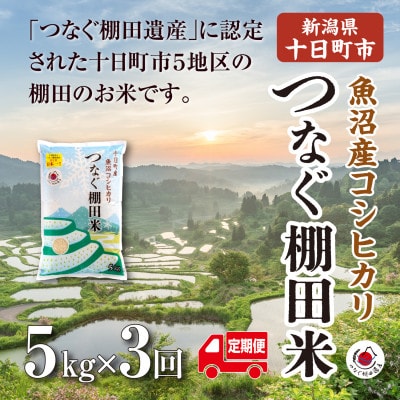 【毎月定期便】新潟県十日町市魚沼産コシヒカリ「つなぐ棚田米」精米5kg全3回