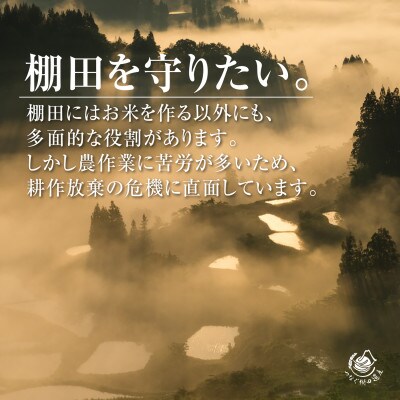 【毎月定期便】新潟県十日町市魚沼産コシヒカリ「つなぐ棚田米」精米5kg全6回