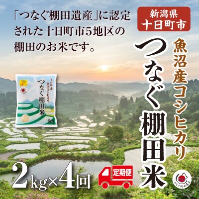 【毎月定期便】新潟県十日町市魚沼産コシヒカリ「つなぐ棚田米」精米2kg全4回