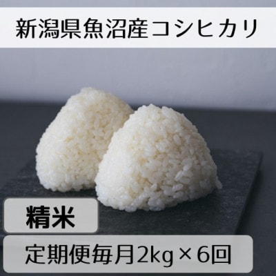 【毎月定期便】新潟県魚沼産コシヒカリ「山清水米」精米2kg全6回