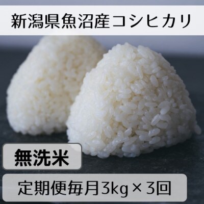 【毎月定期便】新潟県魚沼産コシヒカリ「山清水米」無洗米3kg全3回