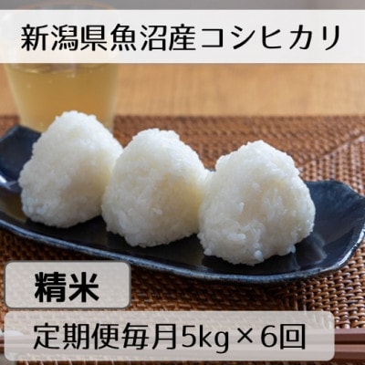 【毎月定期便】新潟県魚沼産コシヒカリ「山清水米」精米5kg全6回