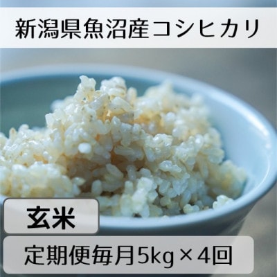 【毎月定期便】新潟県魚沼産コシヒカリ「山清水米」玄米5kg全4回