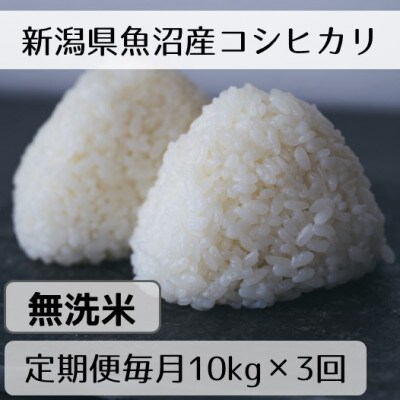 【毎月定期便】新潟県魚沼産コシヒカリ「山清水米」無洗米10kg全3回