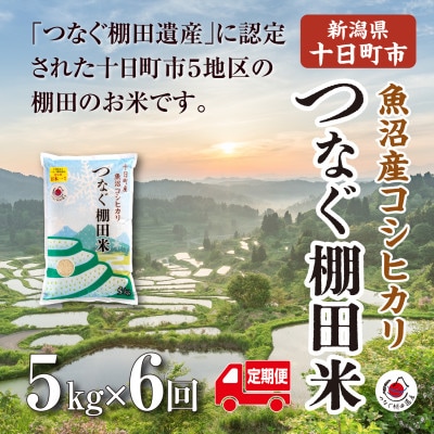 【毎月定期便】新潟県十日町市魚沼産コシヒカリ「つなぐ棚田米」精米5kg全6回